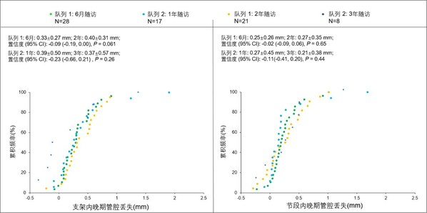 圖1. 支架内和節段内晚期管腔丢失（LLL）